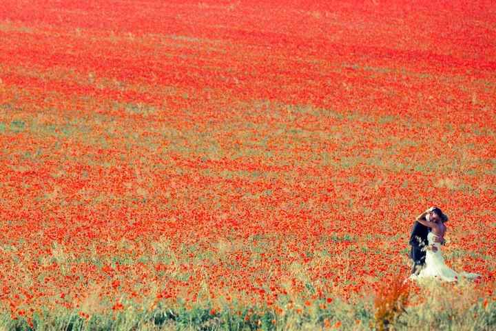 mariés coquelicots