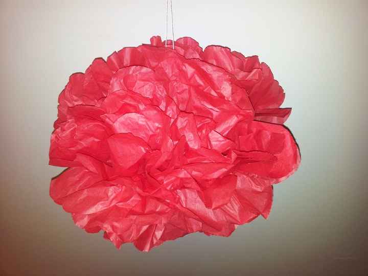 essai pompon 1