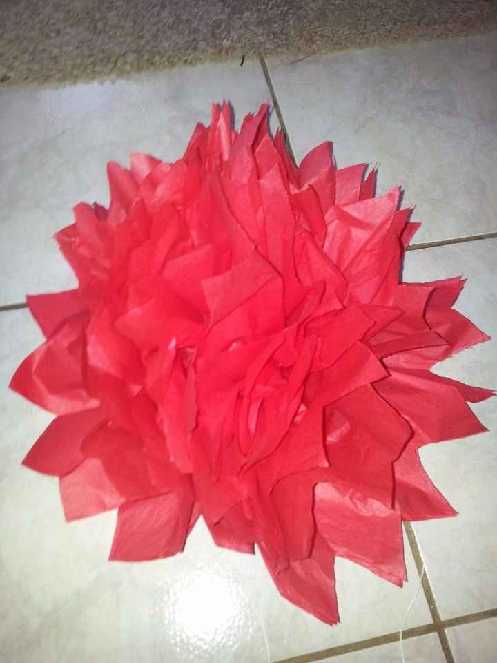 essai nenuphar