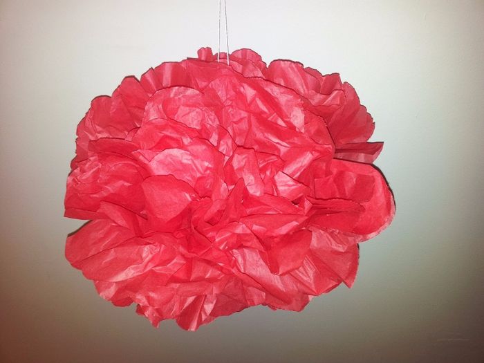essai pompon 1