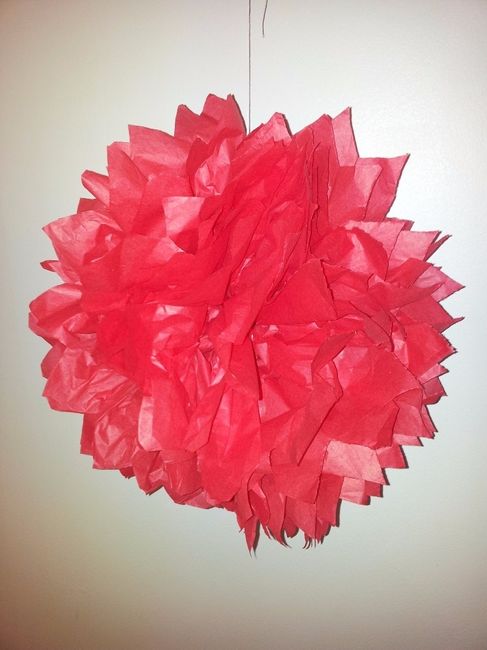 essai pompon 2