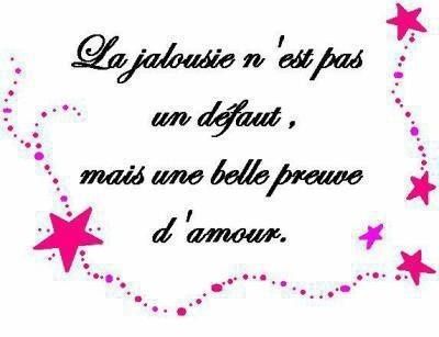 jalousie def