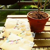 A quoi ressemblent vos "save the date" ? - 1