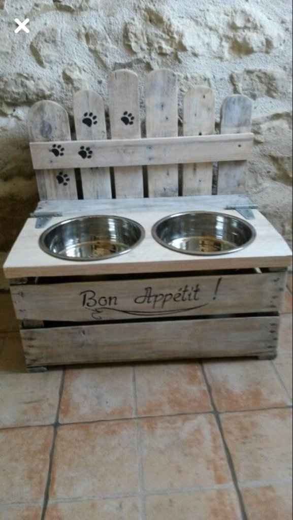 Et les animaux ? - 1