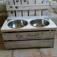 Et les animaux ? - 1