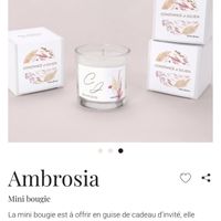 Avez vous des idées pour les cadeaux des invités? - 1