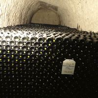 A la recherche du champagne
