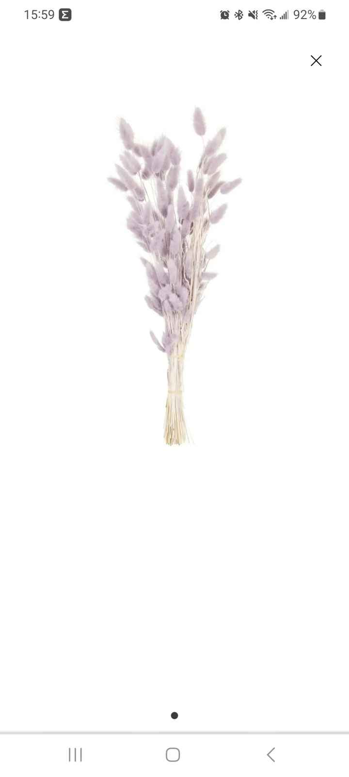 Fleurs séché lilas - 1