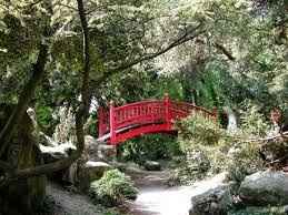 NOTRE JARDIN POUR LES PHOTOS 