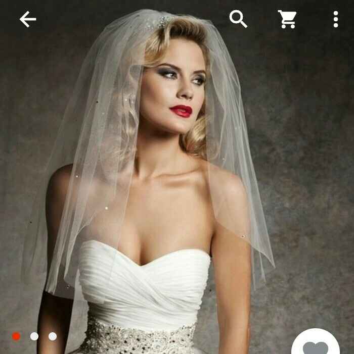 Voile de mariée - 1