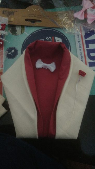 Serviettes Check ✅ - 1