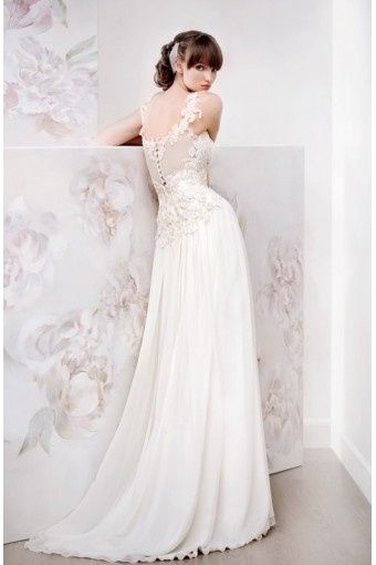 papilio collection