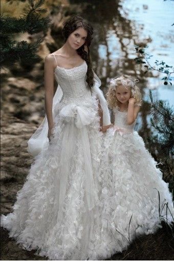 papilio collection