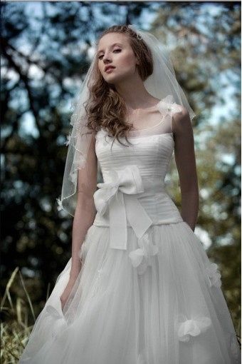papilio collection