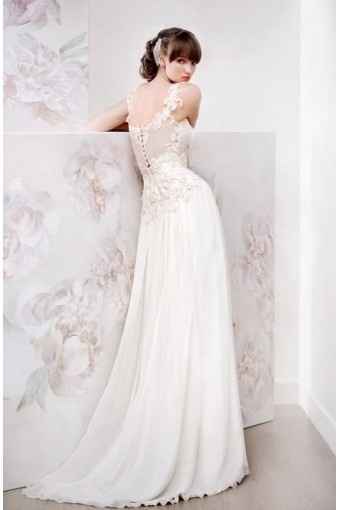 papilio collection