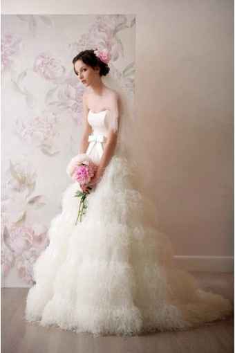 papilio collection