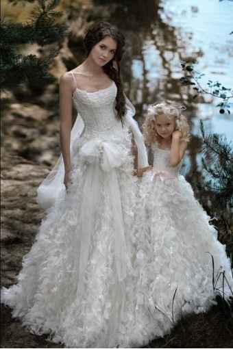 papilio collection