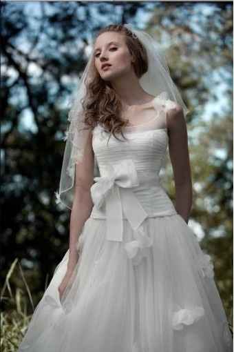 papilio collection