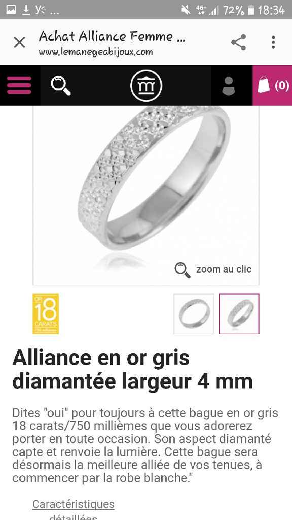  Choix de l'alliance - 1