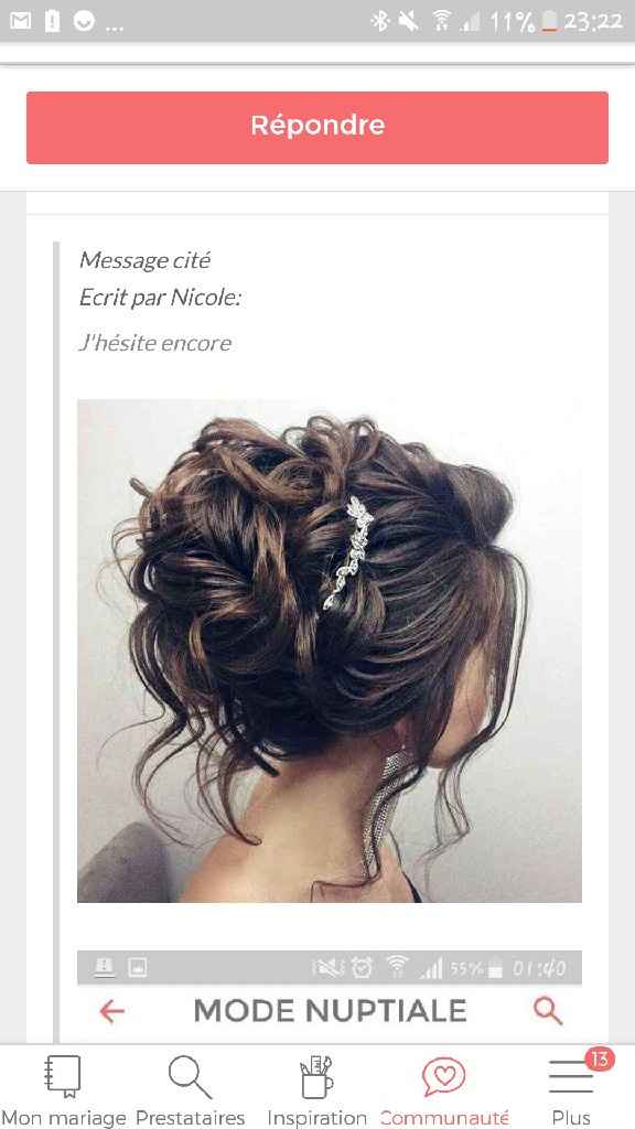  Montrez-moi votre peigne décoratif ! - 2