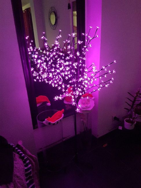  Arbre lumineux - 1