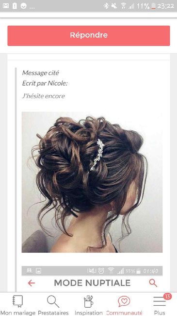  Montrez-moi votre peigne décoratif ! - 2
