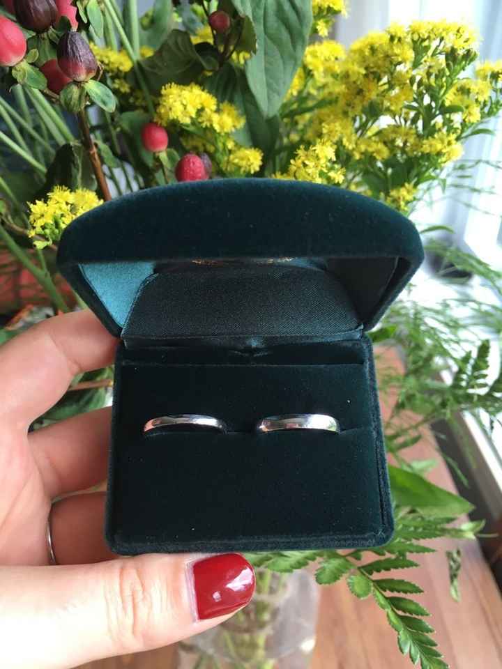 Nos précieuses sont arrivées! - 1