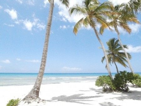 NOS PLUS BELLES VACANCES