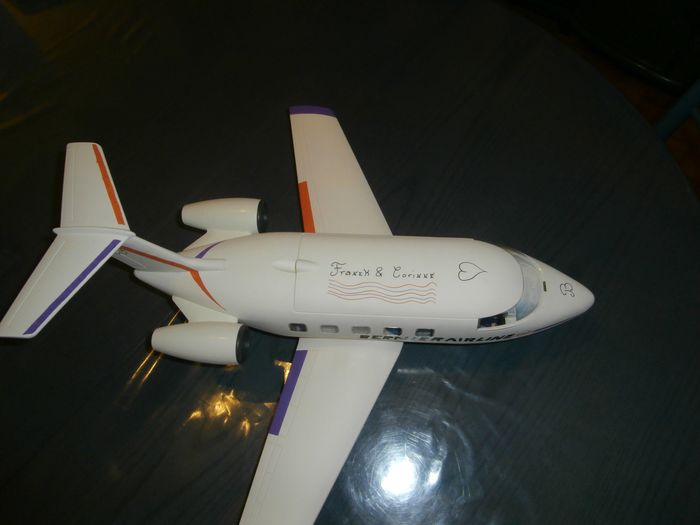 Notre avion (vue du dessus)