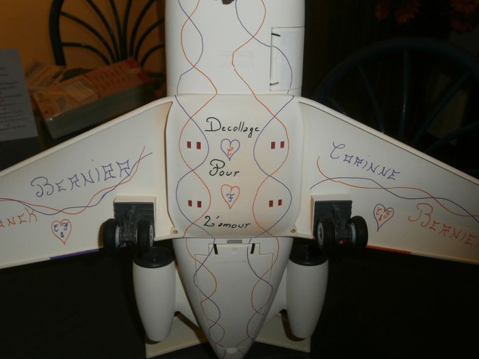 Notre avion (vue du dessous)