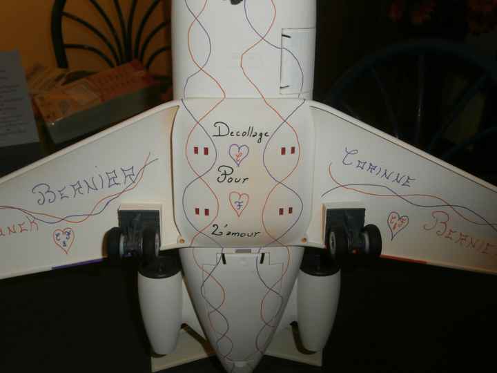 Notre avion (vue du dessous)