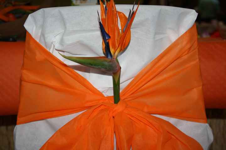 la déco de la salle