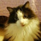 Fabienne