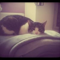 Photos du jour : partagez votre quotidien avec nous - 1