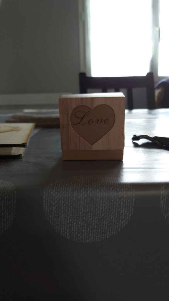 Nous nous marions le 4 Juillet 2020 - Puy-de-dôme - 1