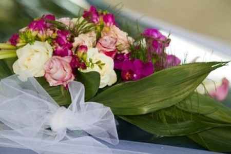 La décoration de notre capot de voiture