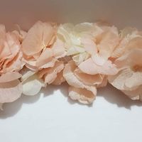 Déception totale- Couronne de Victoire - 3