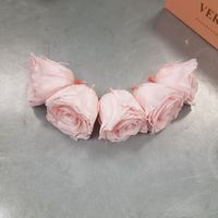 Déception totale- Couronne de Victoire - 1