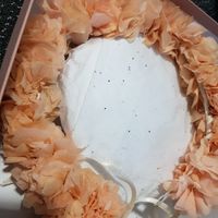 Déception totale- Couronne de Victoire - 1