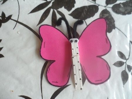 papillons 