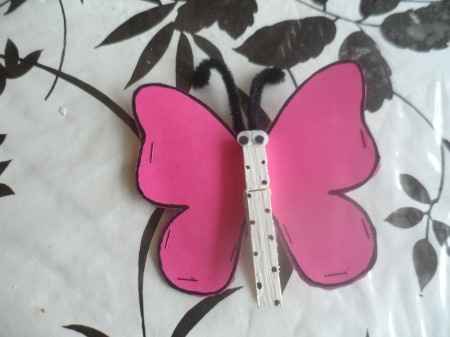 papillons 