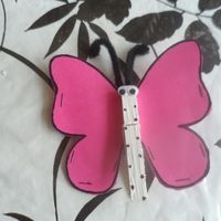 papillons 
