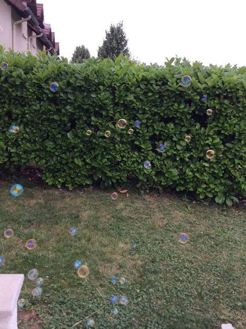 bulles 1