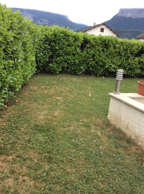 bulles 2