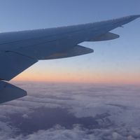 Vol de retour