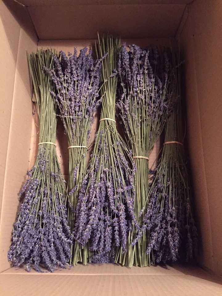 Bouquets de lavande