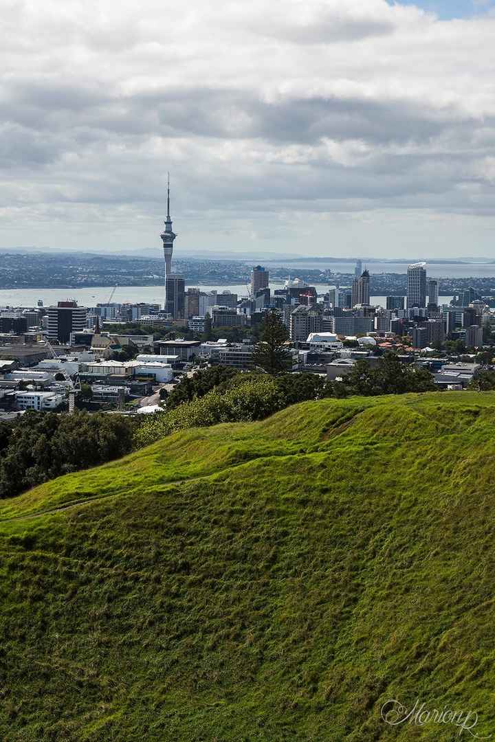 Vue sur Auckland depuis le Mount Eden