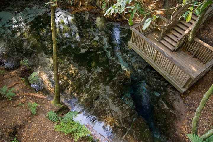Hamurana Springs