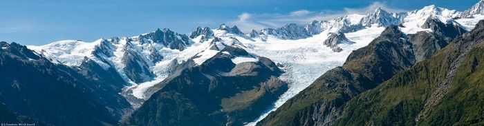Fox Glacier - NZ