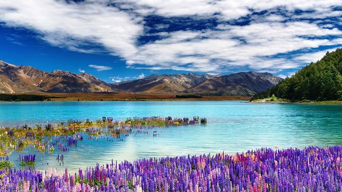 Lake Tekapo - NZ